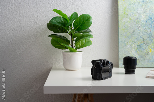 Table with a photo camera, a lens, a plant and the edge of an abstract image in the background. On the left side space for text. Example of a creator's life.