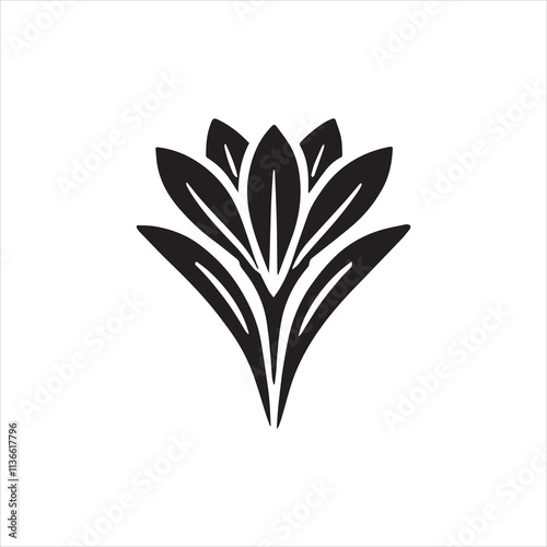 leaves isolated on white