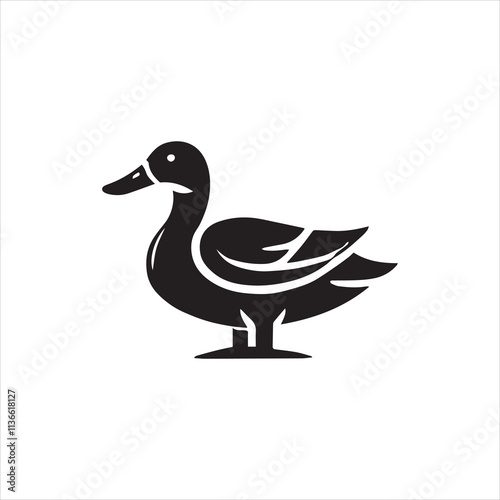 duck isolated on white