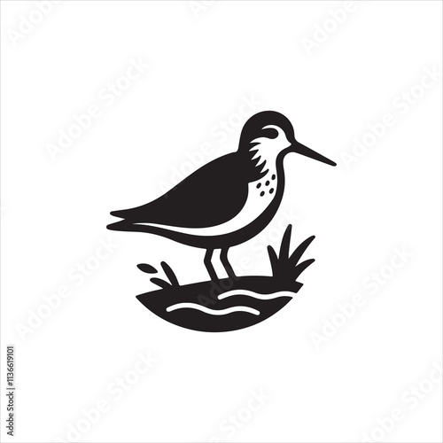 hand drawn illustration of a bird