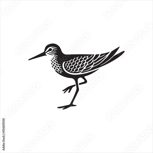 illustration of a bird on a branch