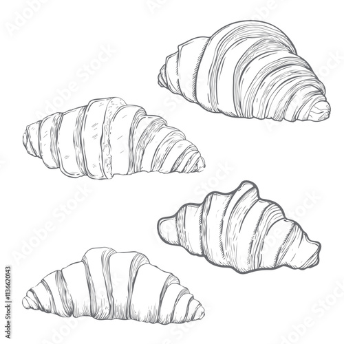 A set of croissants is ideal for a designer cafe. Hand drawn in vintage style. Vector illustration. Isolated, it is in the background.