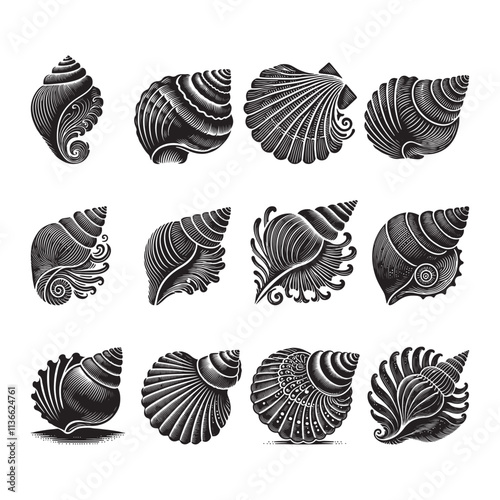 Seashell Silhouette Vector Illustration, Solid White Background.