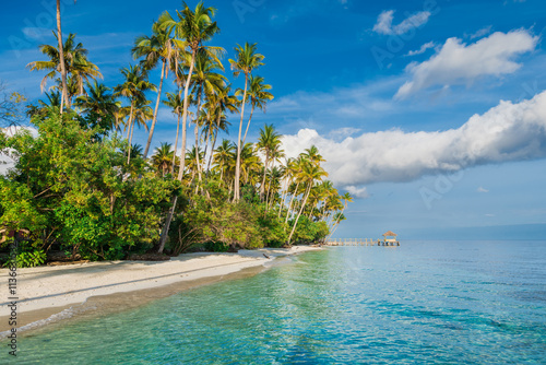 Fototapeta Naklejka Na Ścianę i Meble -  Sandy beach with palm trees and quiet sea on tropical island. Travel vacation banner.