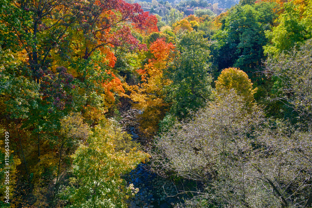 Aerial drone view of the autumn leaf colour with a stream in the valley Aerial drone view of the autumn leaf colour with a stream in the valley
