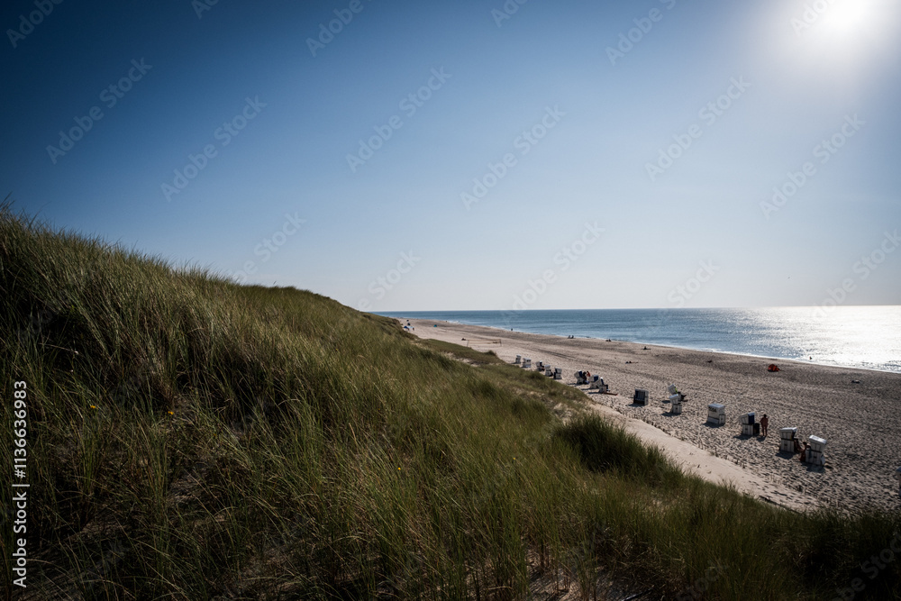 Dune landscape on the Island of Sylt Dune landscape on the Island of Sylt