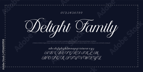 Hand drawn vector alphabet. Modern monoline signature script font. Elegant Signature Font. Best Alphabet Beautiful Calligraphy Signature Font