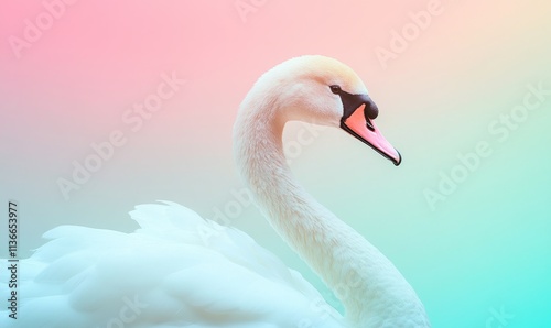 Fototapeta Naklejka Na Ścianę i Meble -  A white swan is standing on a green background