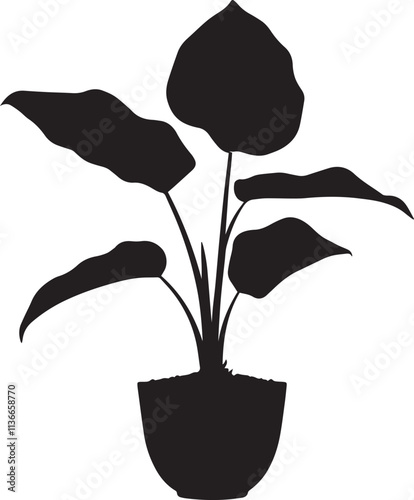 Silhouette of a taro plant with pot black vector art illustration.