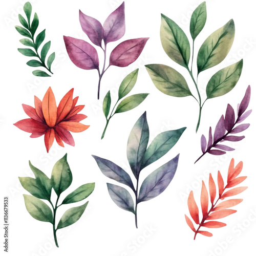 Vibrant botanical leaves collection on a white transparent PNG background photo