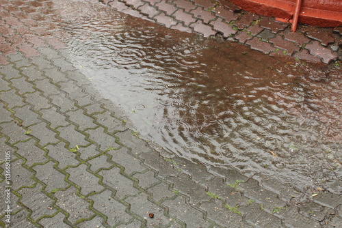 Ripples on the water puddles when it rains. Summer rain