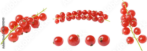 Canvas Print red currant berries fruits isolated for diets and compositions