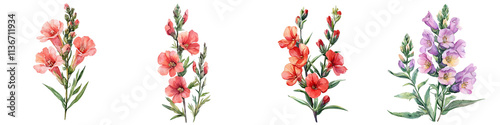 A collection of colorful snapdragon flowers with varying hues, featuring delicate petals and green leaves, showcasing natural beauty and botanical diversity.