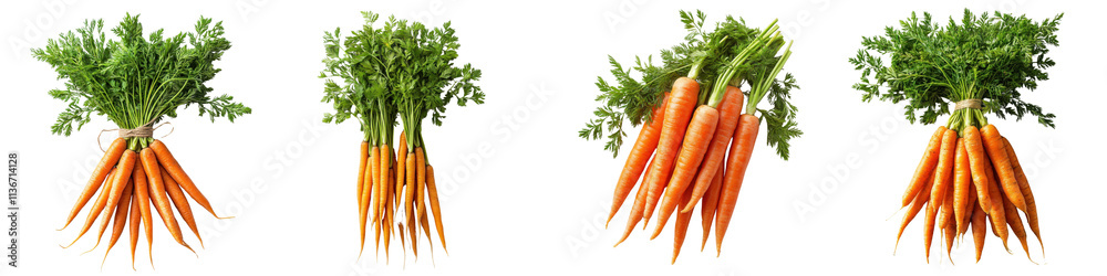 A Set of Organic Carrots with Lush Green Tops, Isolated on Transparent Background A Set of Organic Carrots with Lush Green Tops, Isolated on Transparent Background