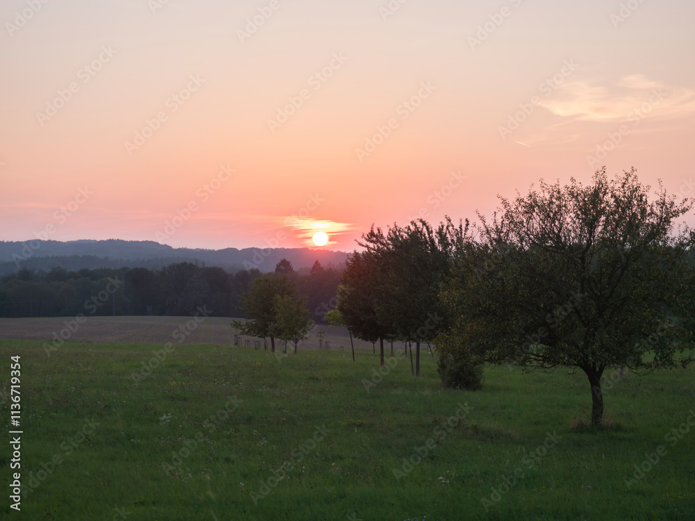 Naklejka premium Red and pink sunset over green summer meadow and forest with deciduous tree alley, clear sky background, Countryside landscape, copy space, Kokorin region, central Bohemia