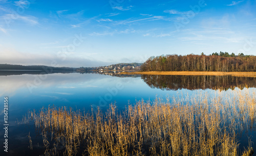 Serene morning reflection over calm lake with golden grasses and vibrant sky in a tranquil natural setting