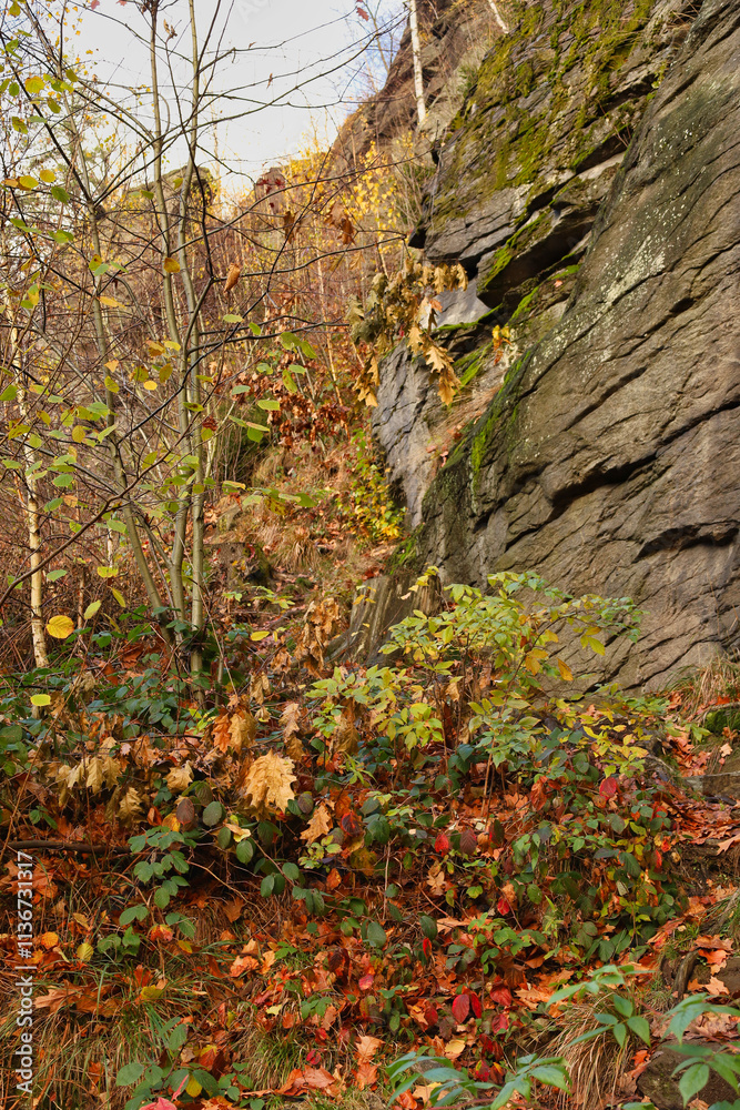 Weg, Aufstieg zum Aussichtspunkt Wolkensteiner Schweiz an der Heidelbachstraße in Wolkenstein im Erzgebirge, Erzgebirgskreis, Sachsen, Deutschland Weg, Aufstieg zum Aussichtspunkt Wolkensteiner Schweiz an der Heidelbachstraße in Wolkenstein im Erzgebirge, Erzgebirgskreis, Sachsen, Deutschland