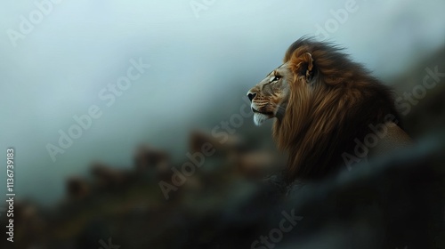 Majestic male lion gazes into the distance, surrounded by a misty wilderness, showcasing its regal mane and powerful presence.