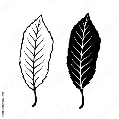 Linear sketch, stamp, silhouette of leaves. Simple botanical elements. Vector graphics.