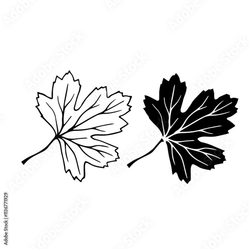 Linear sketch, stamp, silhouette of leaves. Simple botanical elements. Vector graphics.