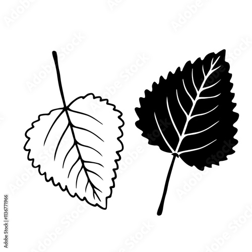 Linear sketch, stamp, silhouette of leaves. Simple botanical elements. Vector graphics.