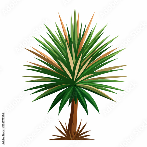 Yucca  White background