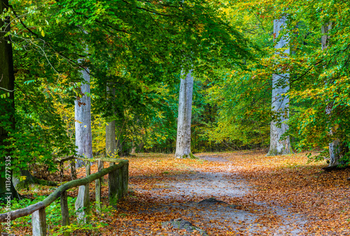 Landschaft und Parks in und um Berlin, Deutschland photo