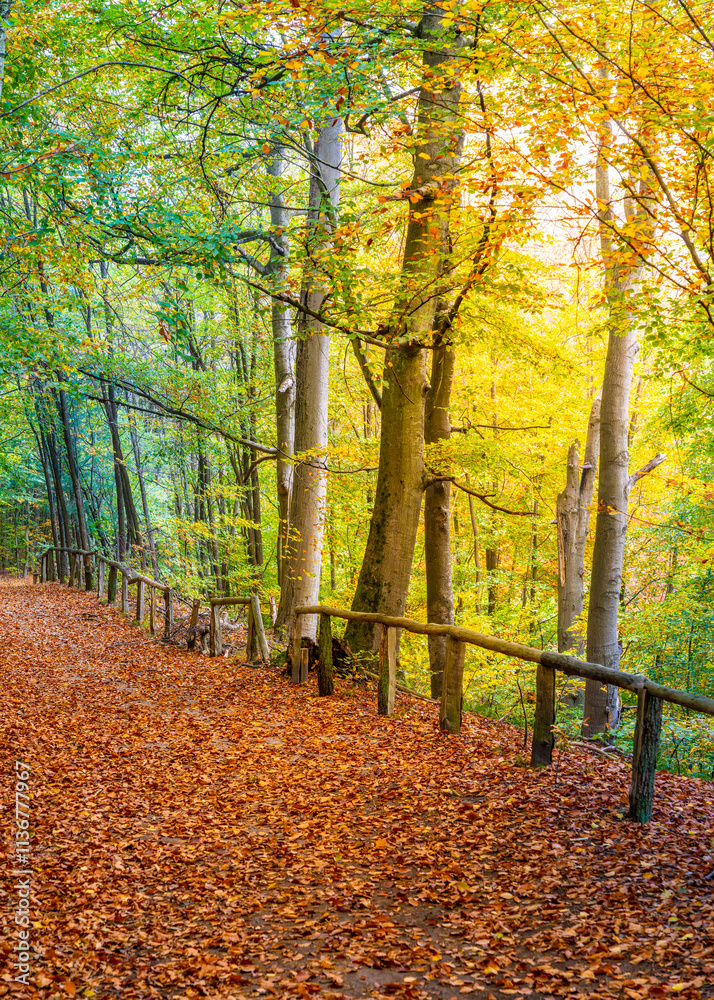 Landschaft und Parks in und um Berlin, Deutschland