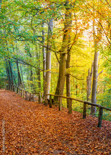 Obraz na płótnie Landschaft und Parks in und um Berlin, Deutschland w salonie