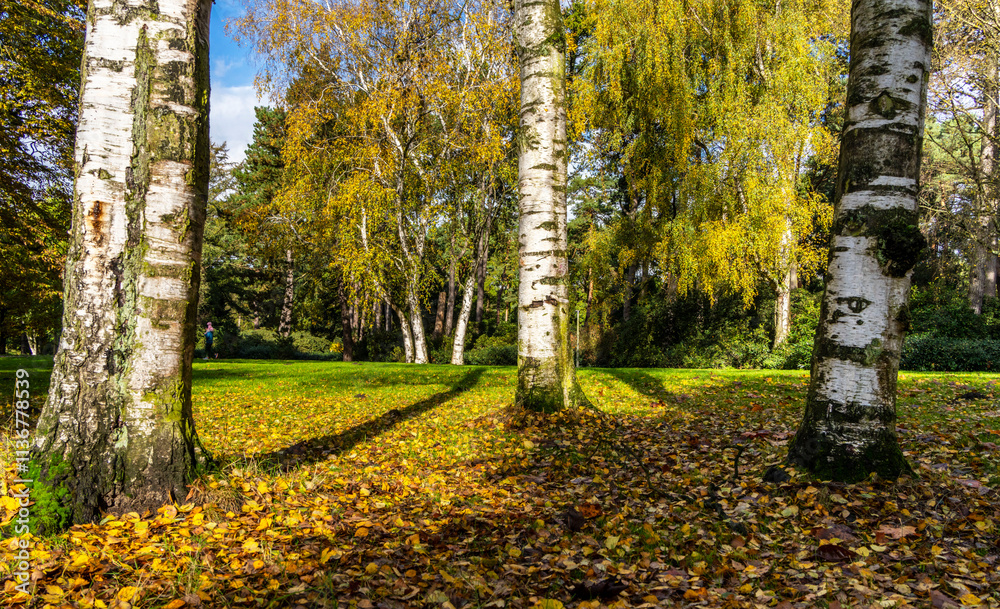 Landschaft und Parks in und um Berlin, Deutschland