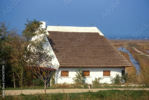 Maison Camarguaise, Parc naturel Régional de Camargue, 13, Bouches du Rhone, France photo