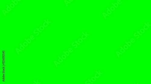 2d animated cartoon character of Two cream and brown rabbits in a long shot, running and grazing from the left to the right of the screen. in green screen background chroma key.