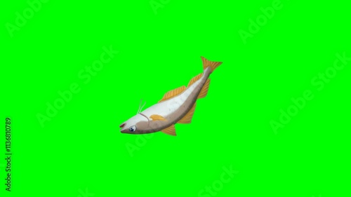 2d animated cartoon character of Flopping animation of a white fish on the surface of the earth, flapping its wings, tail, and mouth. in green screen background chroma key.