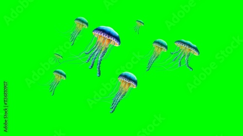 2d animated cartoon character of A flock of jellyfish with their lights swimming underwater and rising to the surface of the water Beautiful and beautiful cycle and loop animation under the ocean