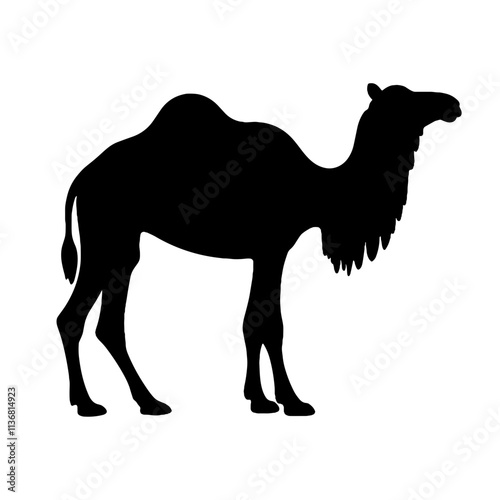 Silhouette of a dromedary camel on white background, desert symbolism