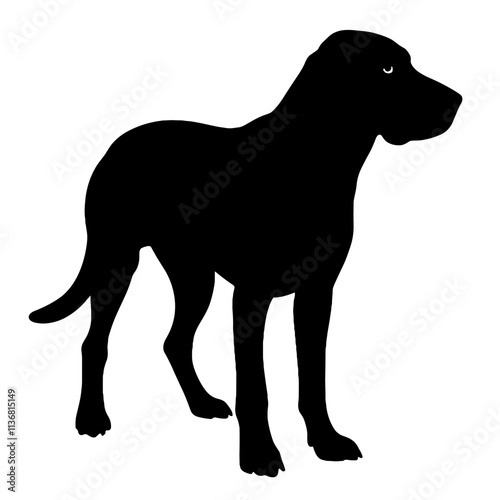 Silhouette of a bloodhound in black and white, canine symbolism