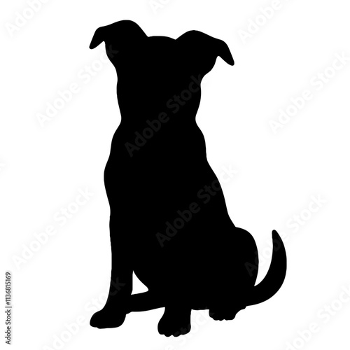 Silhouette of a Border Collie Puppy sitting, playful companionship