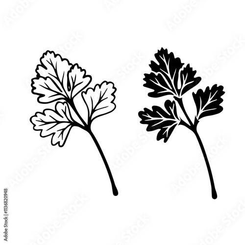 Linear sketch, stamp, silhouette of leaves. Simple botanical elements. Vector graphics.