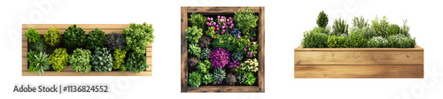 Set of a wooden raised garden bed with plants and trees, isolated on a transparent background.