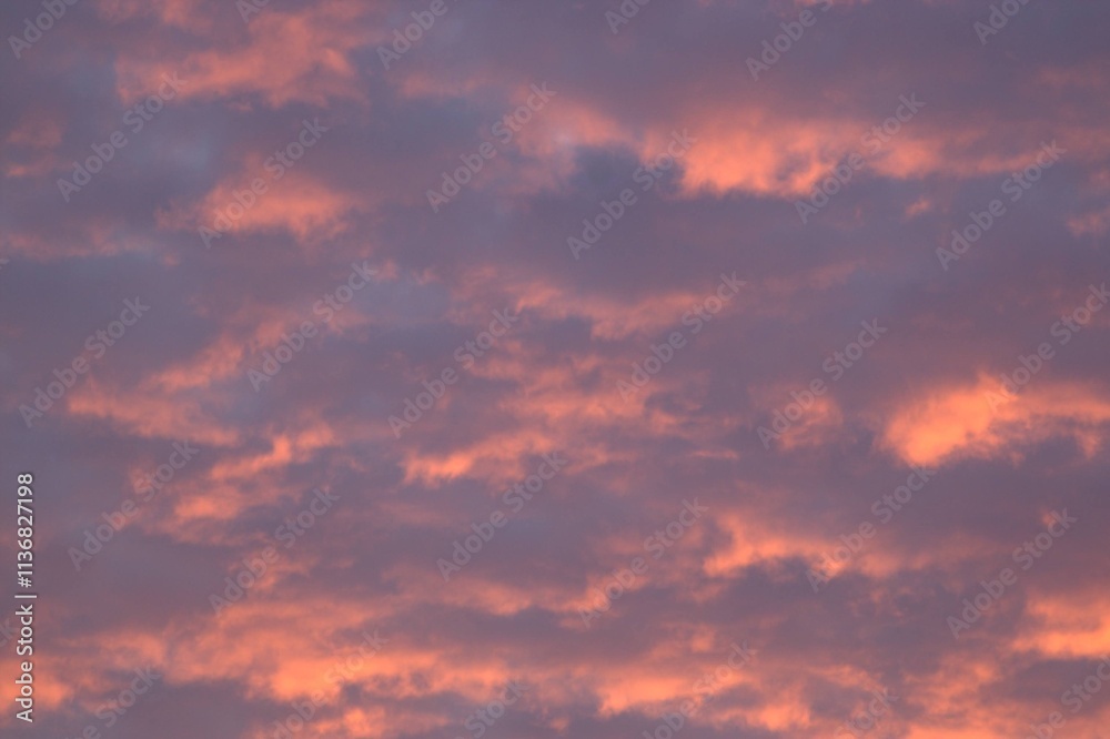 Obraz premium Pink clouds glare from the sunset.