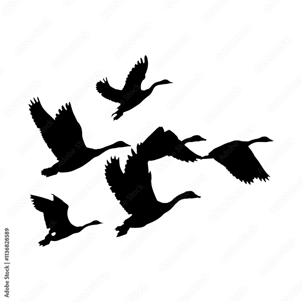 Fototapeta premium Birds in flights Silhouette