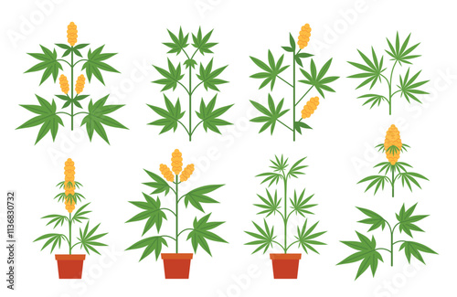 Cartoon cannabis plants. Potted marijuana plant with leaves and buds. Branches of indica and sativa. Cannabis cultivation botanical isolated vector illustrations set.