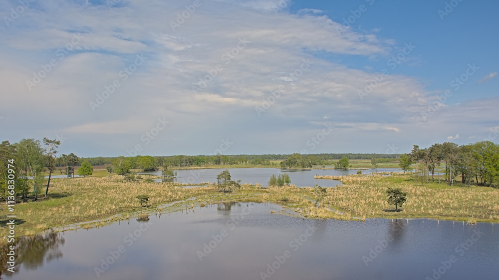 Blue lake in the heaths, with trees reflecting in the water in Turnhoutse vennen nature reserve, Turnhout, Flanders, Belgium Blue lake in the heaths, with trees reflecting in the water in Turnhoutse vennen nature reserve, Turnhout, Flanders, Belgium