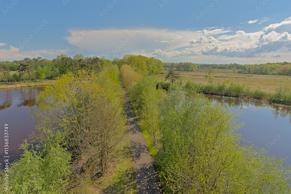 `Bels lijntje`, famous biking and hiking path along the heath and peat lakes of Turnhoutse Vennen nature reserve, Flanders, Belgium. `Bels lijntje`, famous biking and hiking path along the heath and peat lakes of Turnhoutse Vennen nature reserve, Flanders, Belgium.