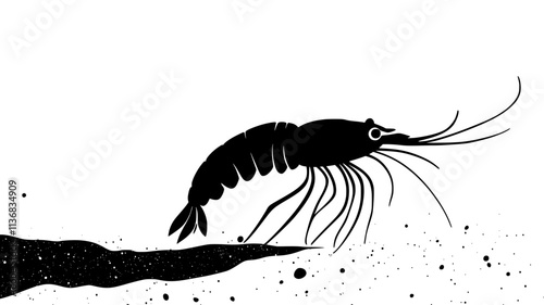 Shrimp walking on ocean floor, navigating sandy bottom, Animal Illustration