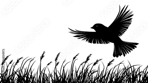 Sparrow flying low over a grassy field, wings moving in short bursts, Animal Illustration