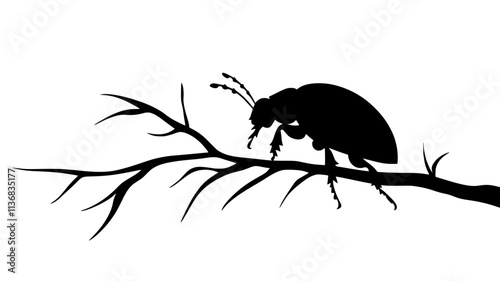 The beetle climbs over a branch, using its mandibles to explore its path, Animal Illustration