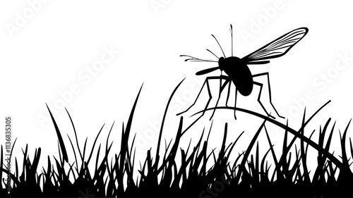 The mosquito perches on a blade of grass, wings held upward as it surveys the area, Animal Illustration
