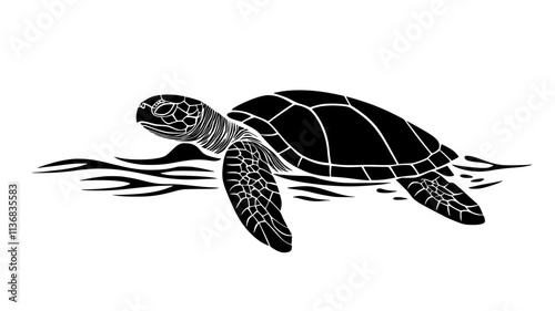 Turtle floating in shallow water, shell visible beneath the surface, Animal Illustration