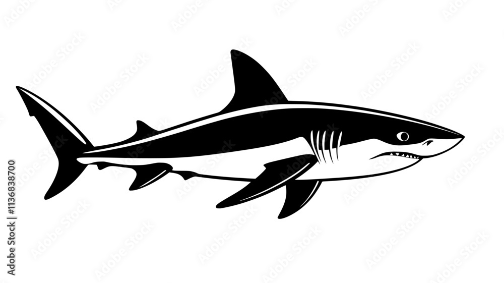Shark gliding slowly through open ocean, entire body visible from above, Animal Vector Graphic